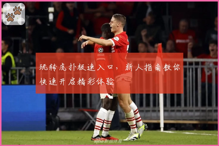 玩转虎扑极速入口，新人指南教你快速开启精彩体验