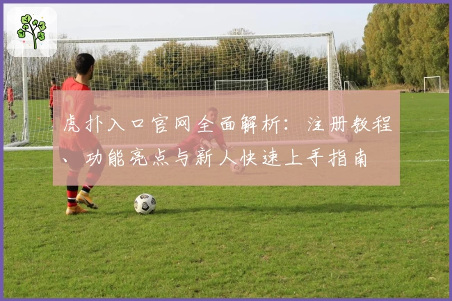 虎扑入口官网全面解析：注册教程、功能亮点与新人快速上手指南